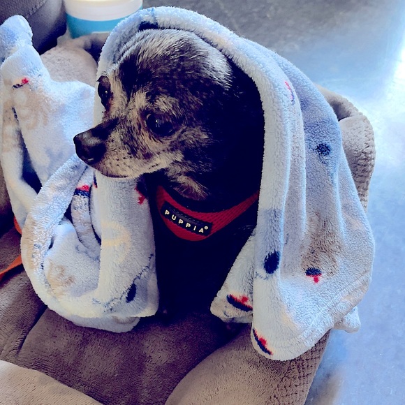 Meet your Posher, Chrissy - Picture 1 of 1